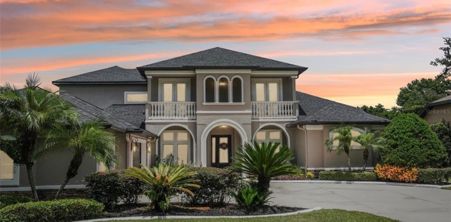 House in Brandon, Florida 7 bedrooms, 424.66 sq.m. № 1875781