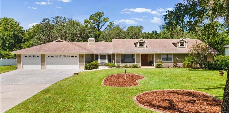 House in New Port Richey, Florida 5 bedrooms, 315.87 sq.m. № 2302615