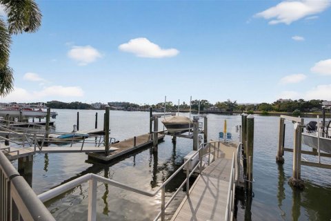 Villa ou maison à vendre à Tampa, Floride: 3 chambres, 282.24 m2 № 2142132 - photo 3