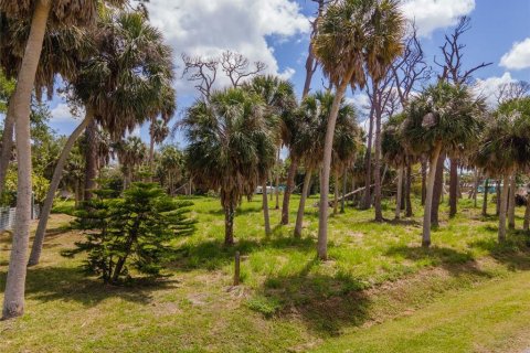 Terreno en venta en Englewood, Florida № 2212292 - foto 4