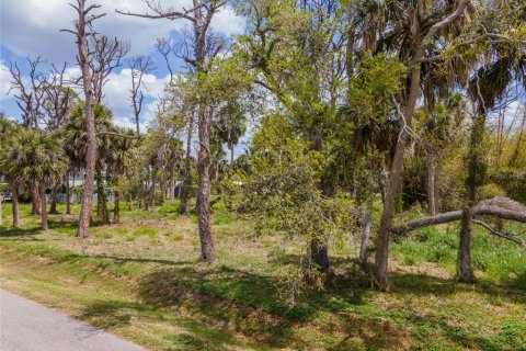 Terreno en venta en Englewood, Florida № 2212292 - foto 6
