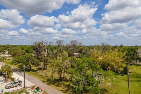 Terreno en venta en Englewood, Florida № 2212292 - foto 7