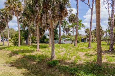 Terreno en venta en Englewood, Florida № 2212292 - foto 5