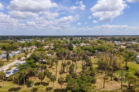 Terreno en venta en Englewood, Florida № 2212292 - foto 8