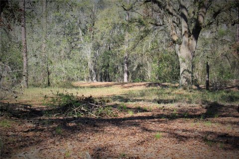 Terrain à vendre à Webster, Floride № 2226723 - photo 22