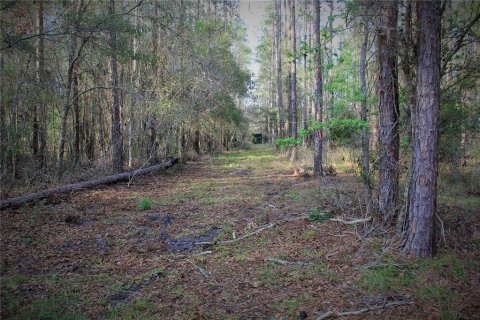 Terrain à vendre à Webster, Floride № 2226723 - photo 4