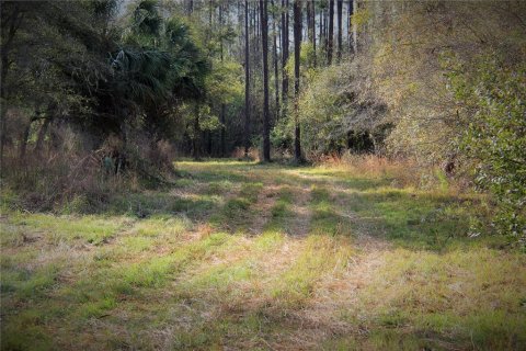 Terrain à vendre à Webster, Floride № 2226723 - photo 6