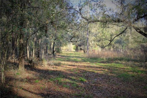 Land in Webster, Florida № 2226723