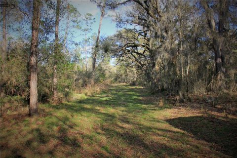 Terrain à vendre à Webster, Floride № 2226723 - photo 23