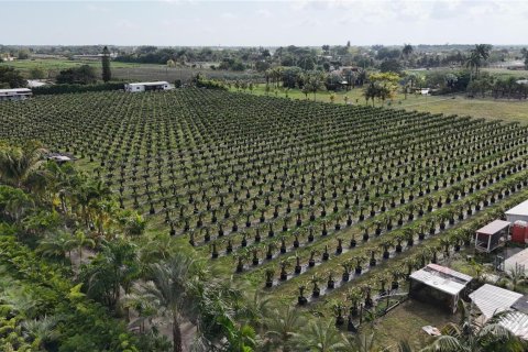 Commercial property in Miami, Florida № 2186779 - photo 5