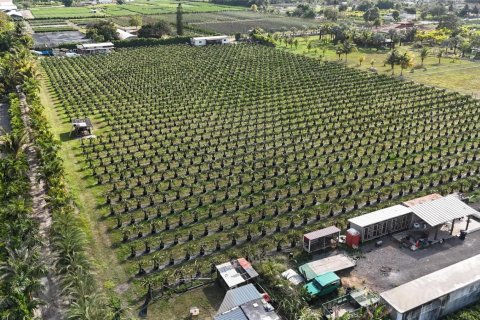 Commercial property in Miami, Florida № 2186779
