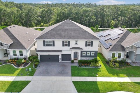 Villa ou maison à vendre à Clermont, Floride: 6 chambres, 397.99 m2 № 1830081 - photo 1