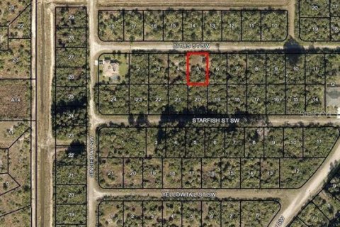 Land in Palm Bay, Florida № 2160672