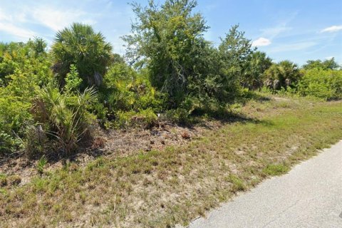 Land in Port Charlotte, Florida № 2145010 - photo 3