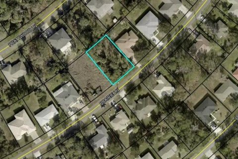 Land in Palm Coast, Florida № 1832034 - photo 1
