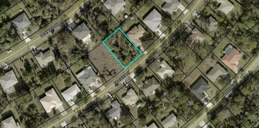 Land in Palm Coast, Florida № 1832034