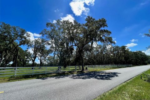 Land in Kissimmee, Florida № 1910343 - photo 3