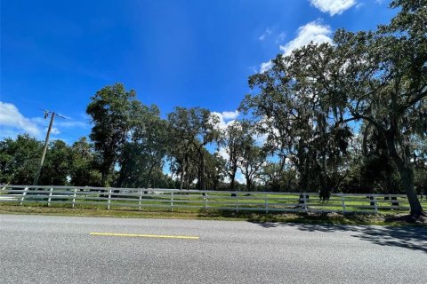 Land in Kissimmee, Florida № 1910343 - photo 2