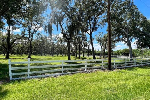 Land in Kissimmee, Florida № 1910343 - photo 4