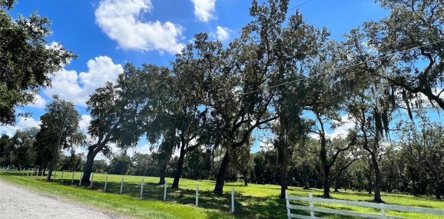 Land in Kissimmee, Florida № 1910343