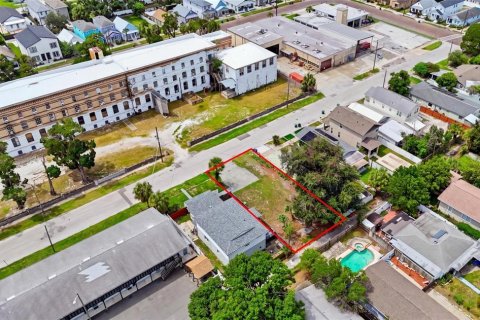 Land in Tampa, Florida № 2378358 - photo 4