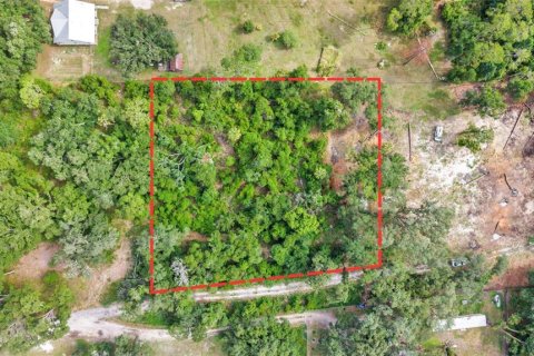 Land in Dover, Florida № 2230178