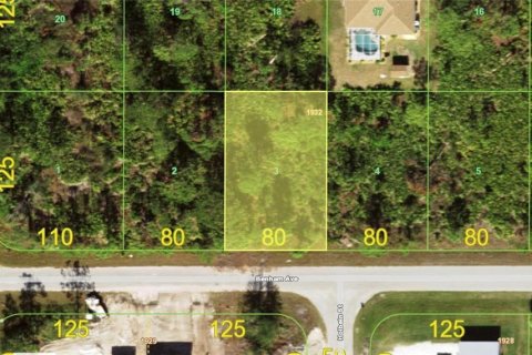 Land in Port Charlotte, Florida № 2165603