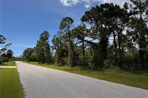 Land in Port Charlotte, Florida № 2165603 - photo 8