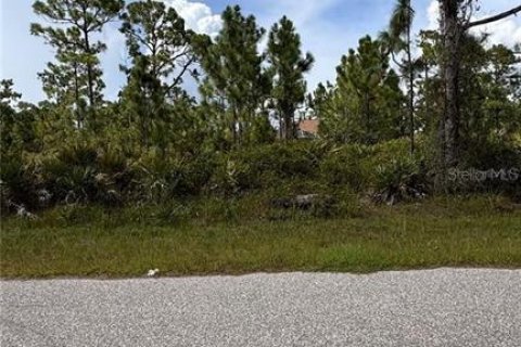 Land in Port Charlotte, Florida № 2165603 - photo 4