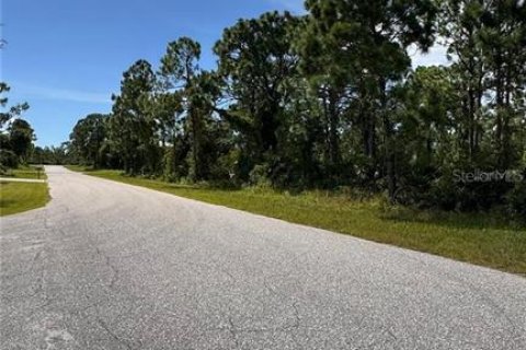 Land in Port Charlotte, Florida № 2165603 - photo 3