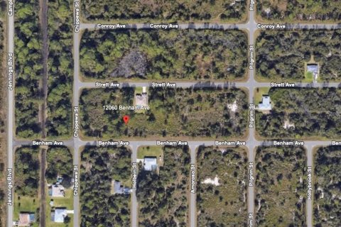 Land in Port Charlotte, Florida № 2165603 - photo 2