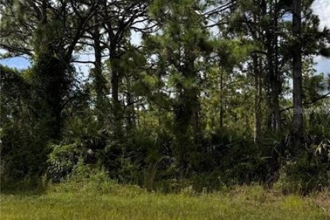 Land in Port Charlotte, Florida № 2165603 - photo 7