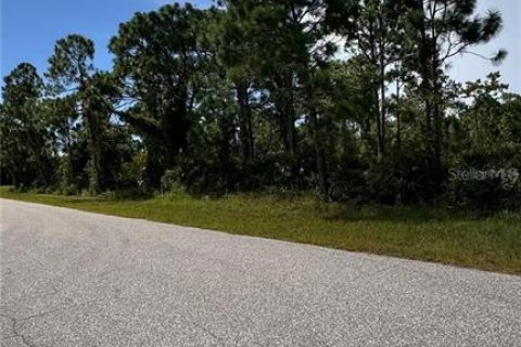 Land in Port Charlotte, Florida № 2165603 - photo 5