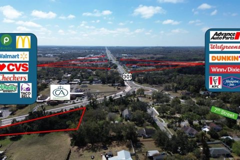 Land in Dade City, Florida № 2143644 - photo 3
