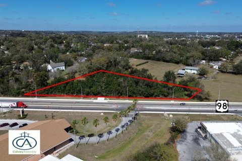 Land in Dade City, Florida № 2143644 - photo 2