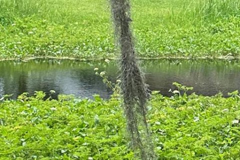 Terreno en venta en Inglis, Florida № 2213611 - foto 2