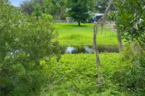 Terreno en Inglis, Florida № 2213611