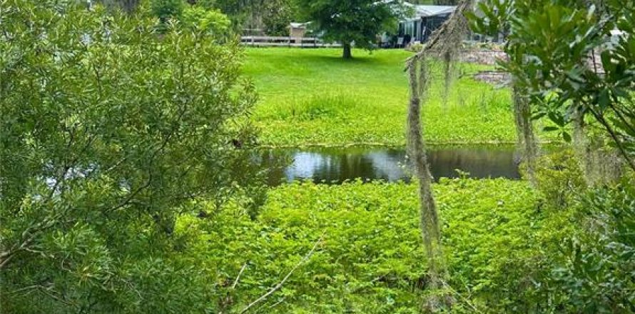 Terreno en Inglis, Florida № 2213611