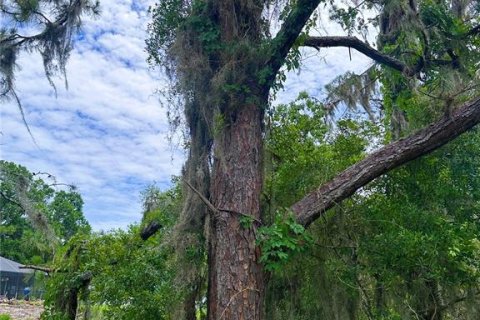Terreno en venta en Inglis, Florida № 2213611 - foto 4