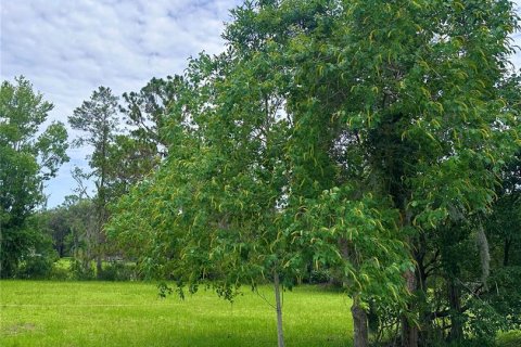 Terreno en venta en Inglis, Florida № 2213611 - foto 3