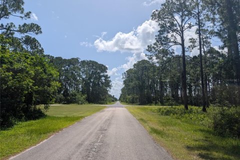 Terrain à vendre à Indian lake estates, Floride № 2217587 - photo 6