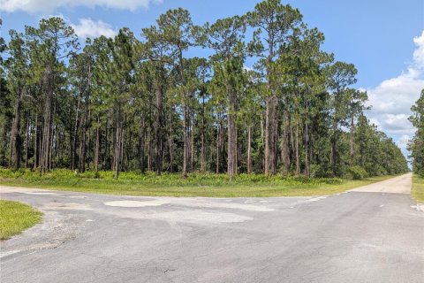 Land in Indian lake estates, Florida № 2217587
