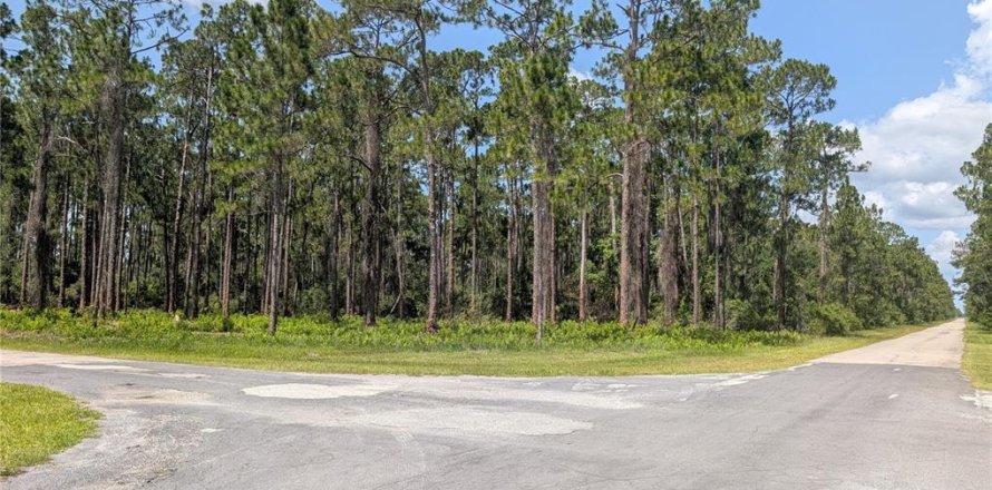 Terrain à Indian lake estates, Floride № 2217587