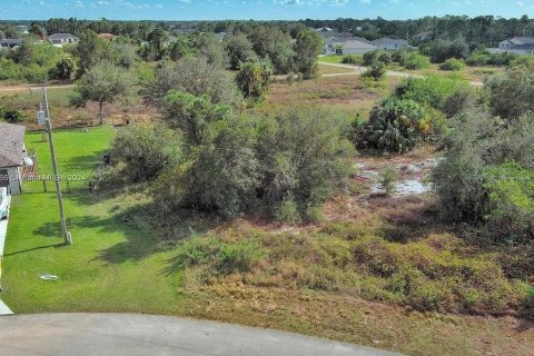 Land in Lehigh Acres, Florida № 2164325