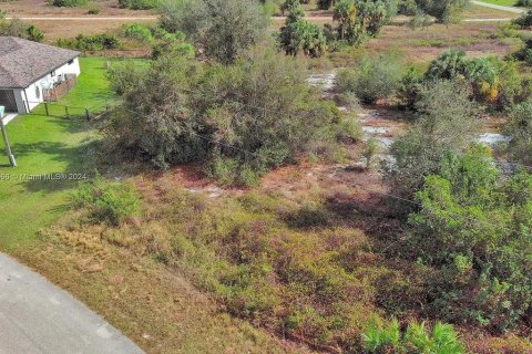Land in Lehigh Acres, Florida № 2164325 - photo 3