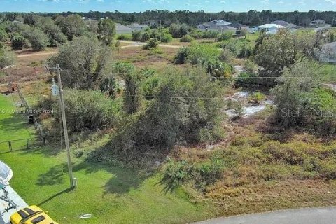 Land in Lehigh Acres, Florida № 2164325 - photo 2