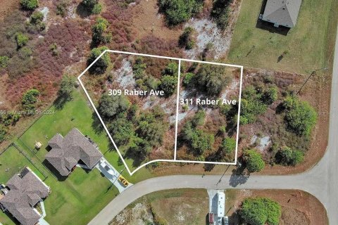 Land in Lehigh Acres, Florida № 2164325 - photo 16