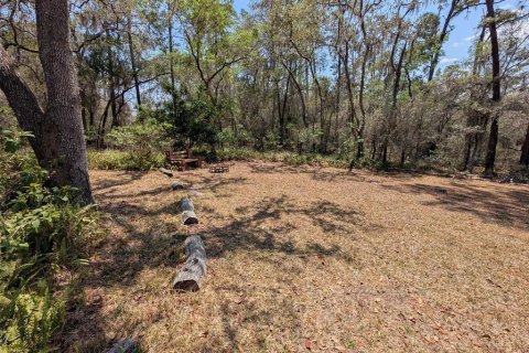 Villa ou maison à vendre à Ocklawaha, Floride: 3 chambres, 165.74 m2 № 1916026 - photo 13