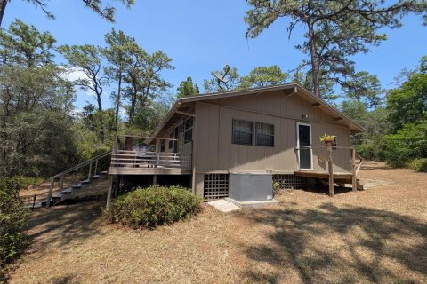 Villa ou maison à vendre à Ocklawaha, Floride: 3 chambres, 165.74 m2 № 1916026 - photo 3