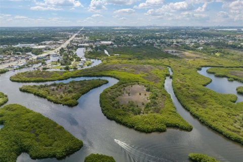 Terreno en venta en Tampa, Florida № 1734129 - foto 16